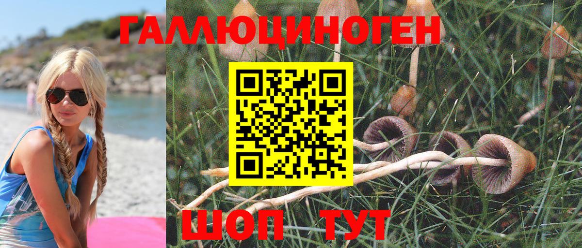 Галлюциногенные грибы Psilocybine cubensis  Вход с VPN  Галлюциногенные грибы Magic Shrooms  Уварово 